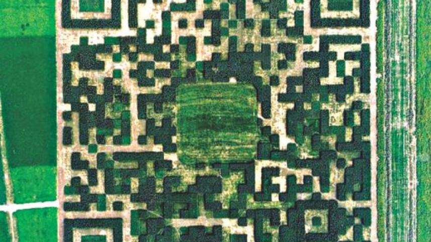qr.jpg