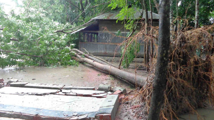 Rain paralyses 1.jpg