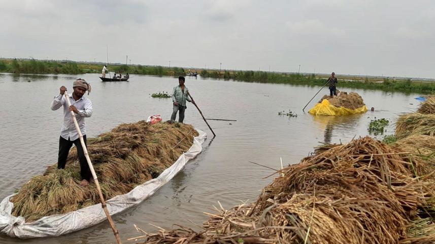 rainwater-floods-Boro-fields.jpg