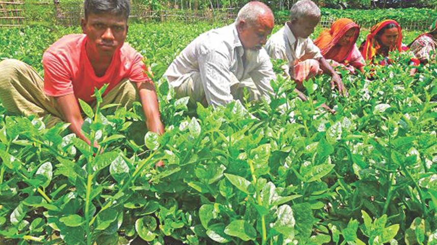 rajshahi university student.jpg