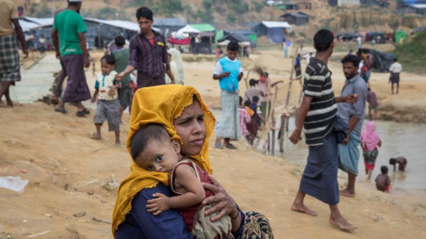 rohingya