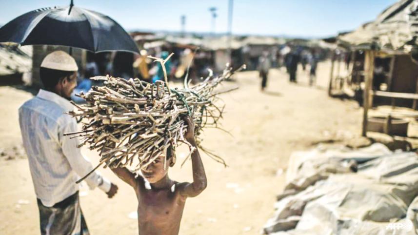 Rohingya refugee carrying firewood