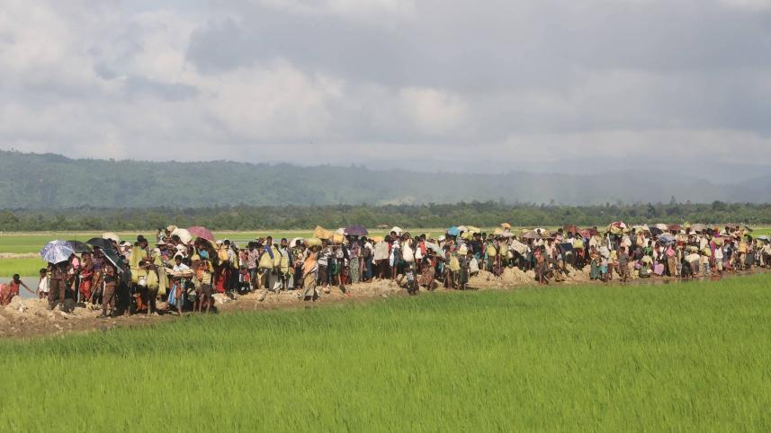 Rohingya Refugees-1.jpg