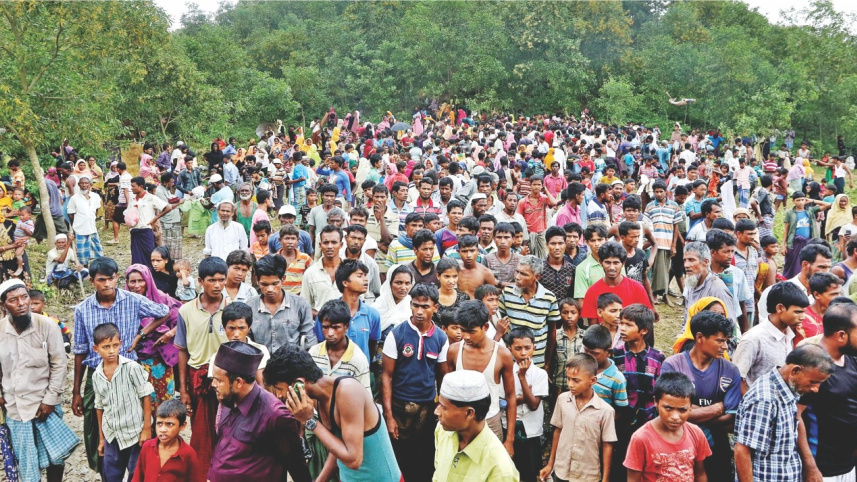 rohingya refugees.jpg