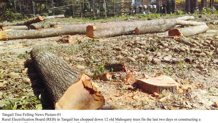 Rural Electrification Board