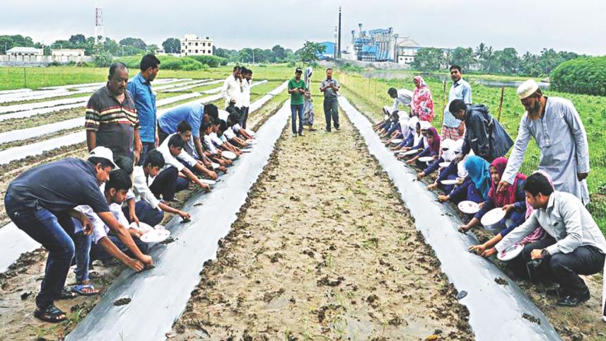 School students farming.jpg