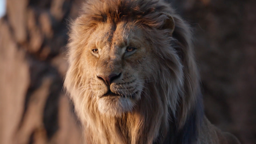 Screen-Shot-2019-07-11-at-10.32.46-AM.png