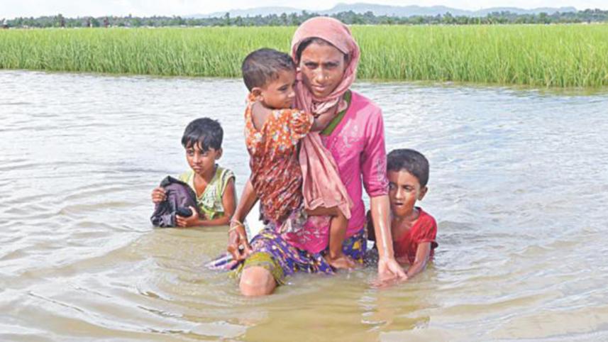 Rohingya refugee