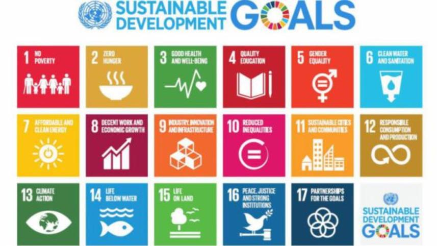 sdg goals.jpg