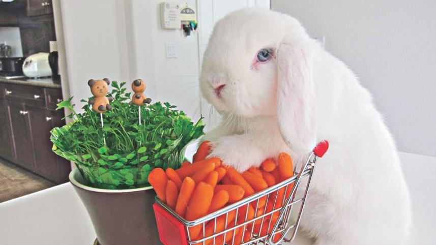 Signs that you're growing up