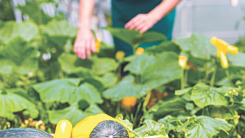 Small and medium farms.jpg