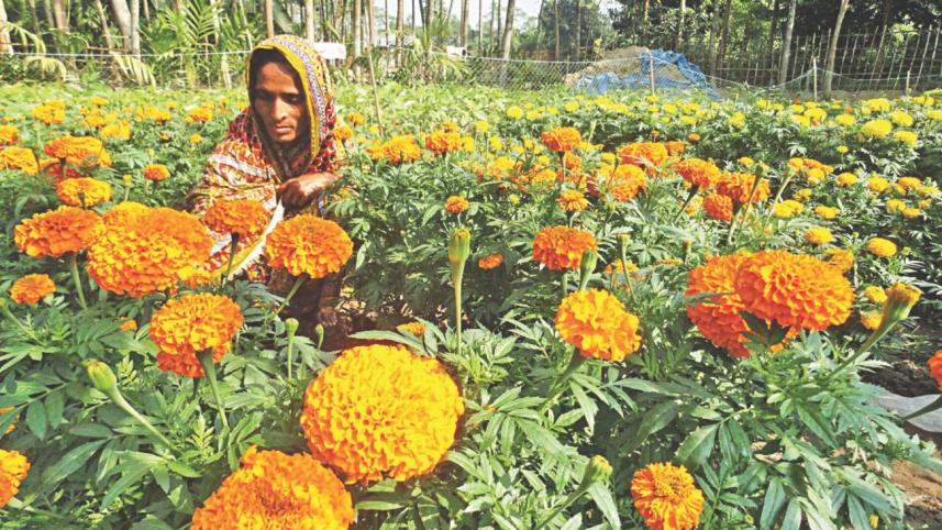 solvency in flowers.jpg
