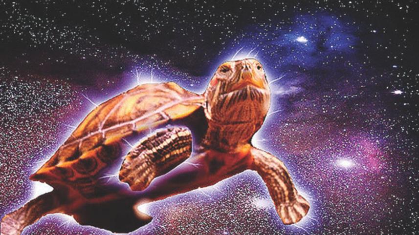 Space Turtle