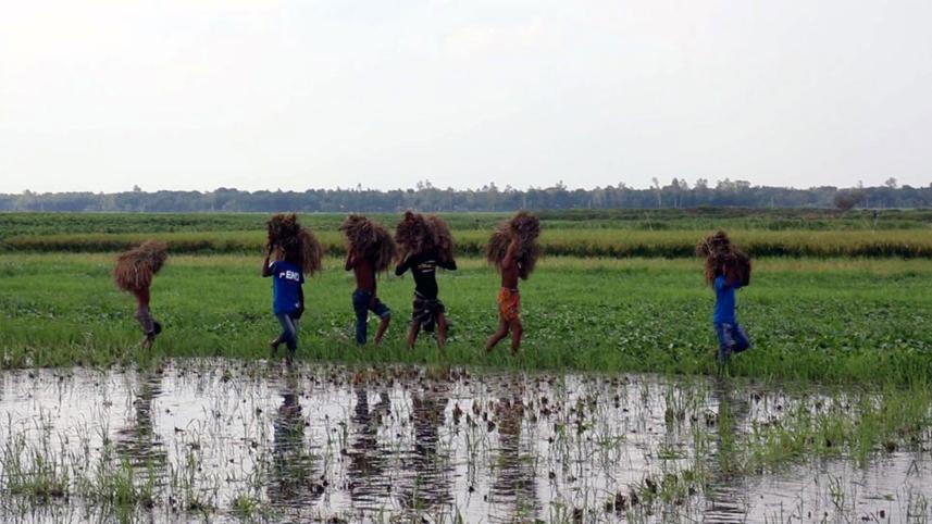Stagnant-water-pabna-cultivation.jpg