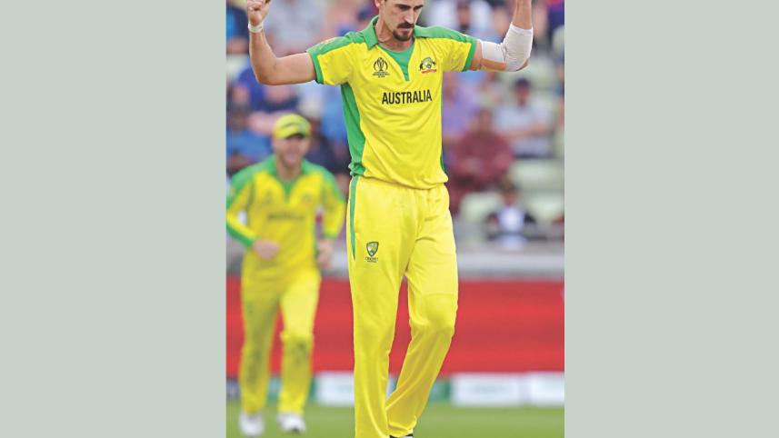 starc.jpg