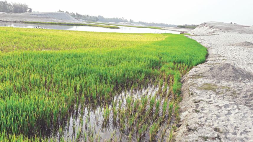 Stone lifting rivers dry.jpg