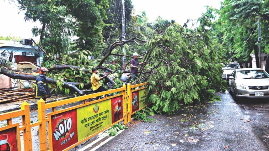 storm lashed capital.jpg