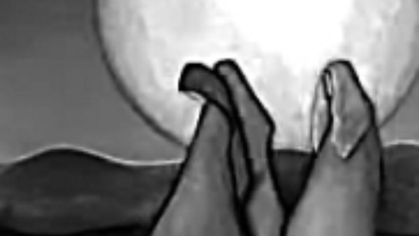 Story of a Moonlit Night