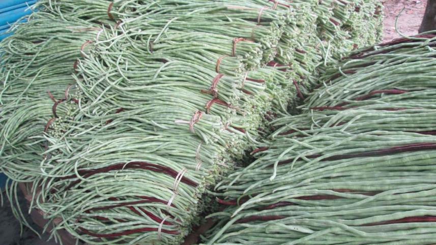 string bean price.jpg