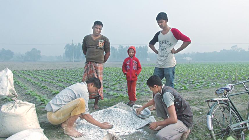 Subsidised fertiliser 1.jpg