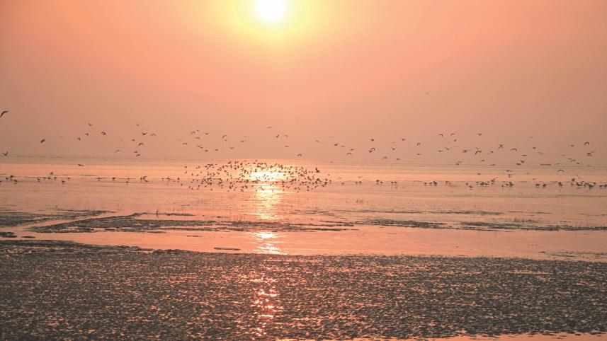 Nijhum Dwip under Noakhali