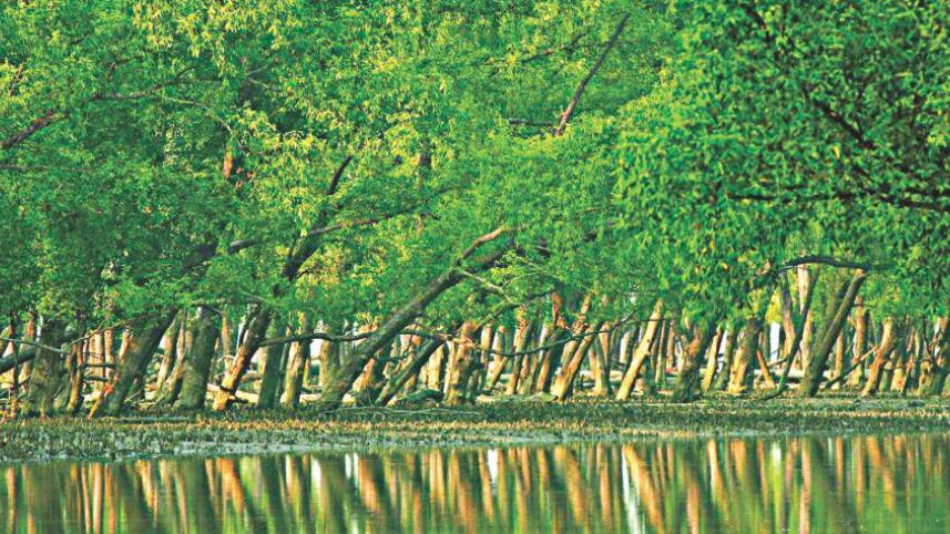 sundarban-threat.jpg