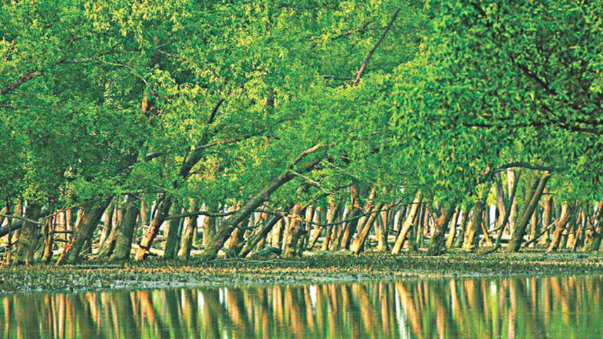 sundarban_0.jpg