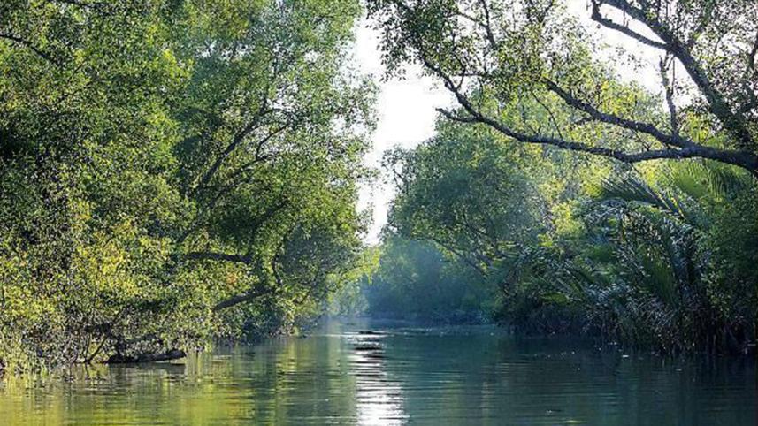 Sundarbans.jpg