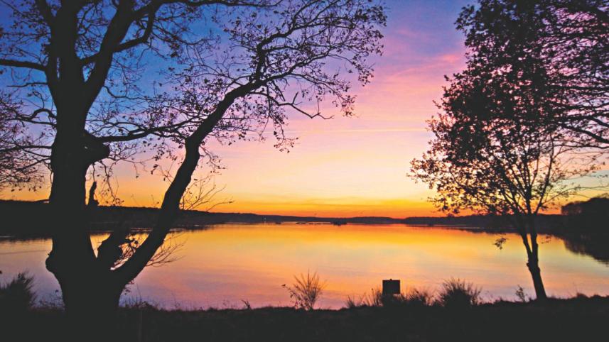 Super Massive Black Hole