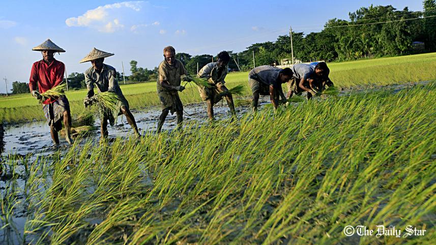 Sylhet Sheikh Nasir--28.08.19...--. (4).jpg