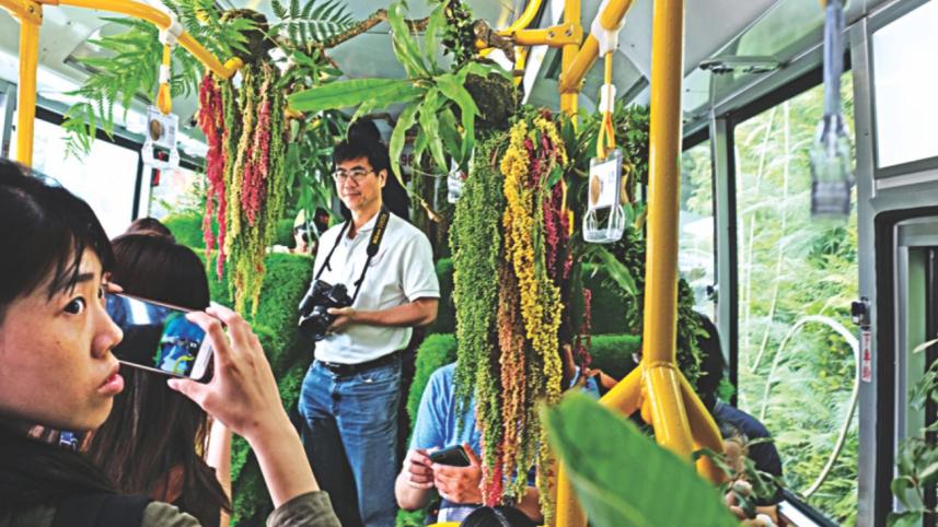 taiwan forest.jpg
