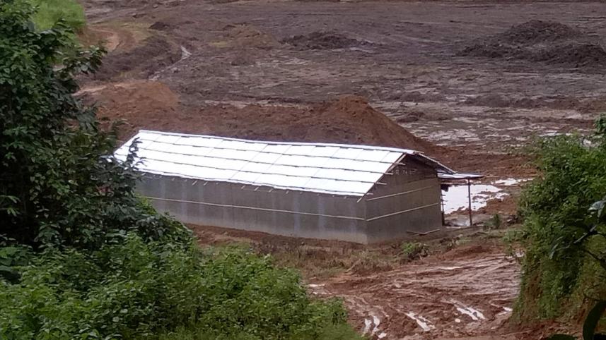 tazindong at risk.jpg