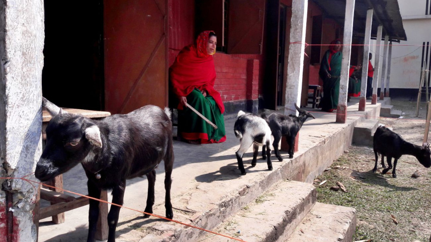 Teesta Girls' High School