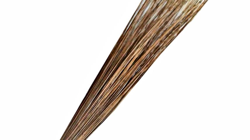 The Chronicles of Wonder Bua