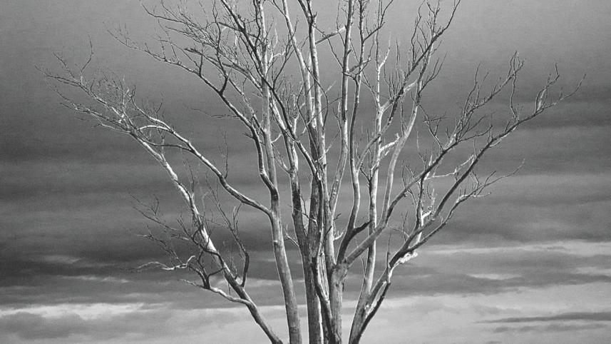 The Colour of Season