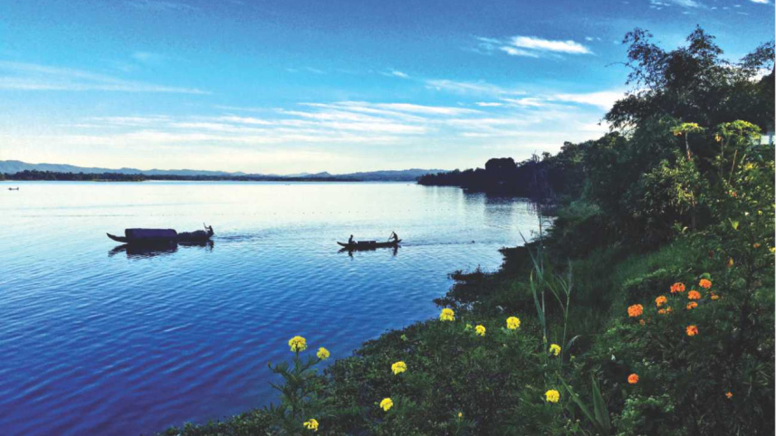 The Plight of the Indigenous People