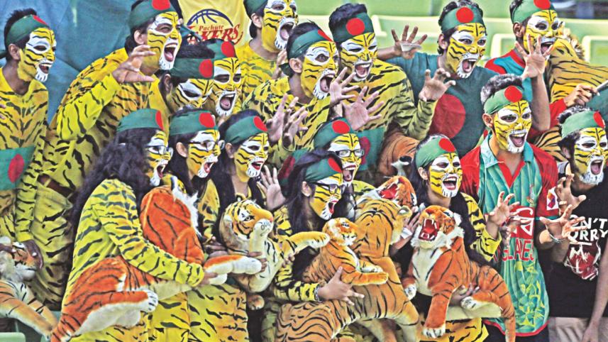 tigers fan.jpg