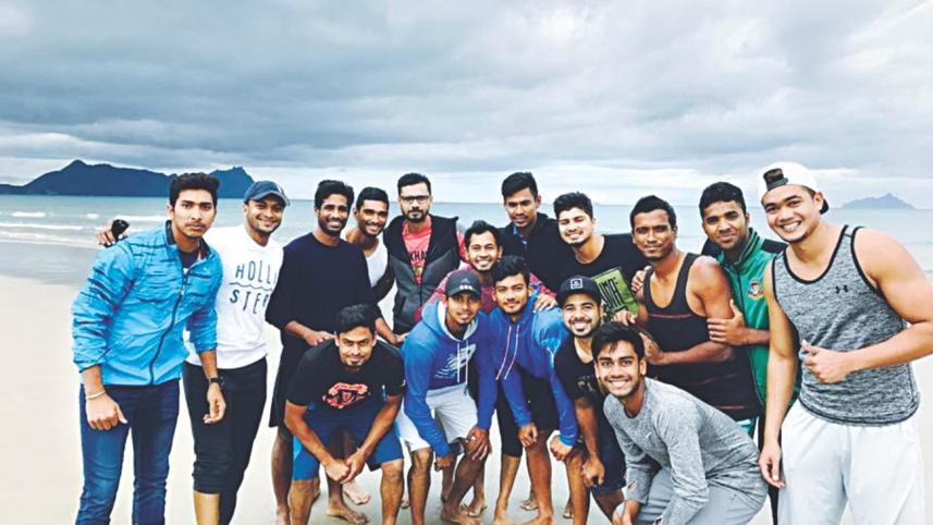 tigers in newzealand.jpg