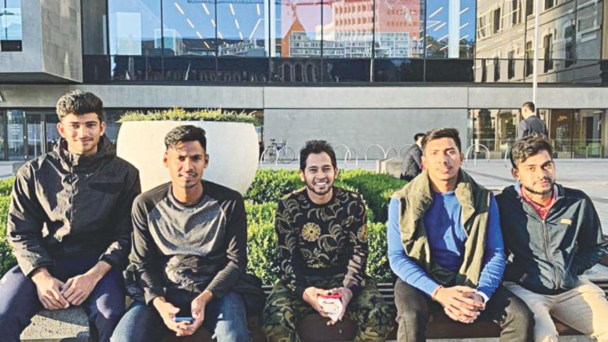 tigers in nz.jpg