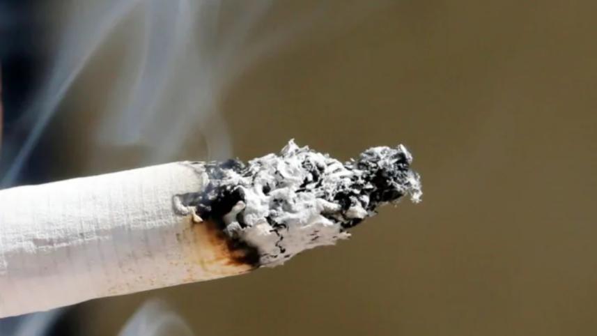 tobacco products.jpg