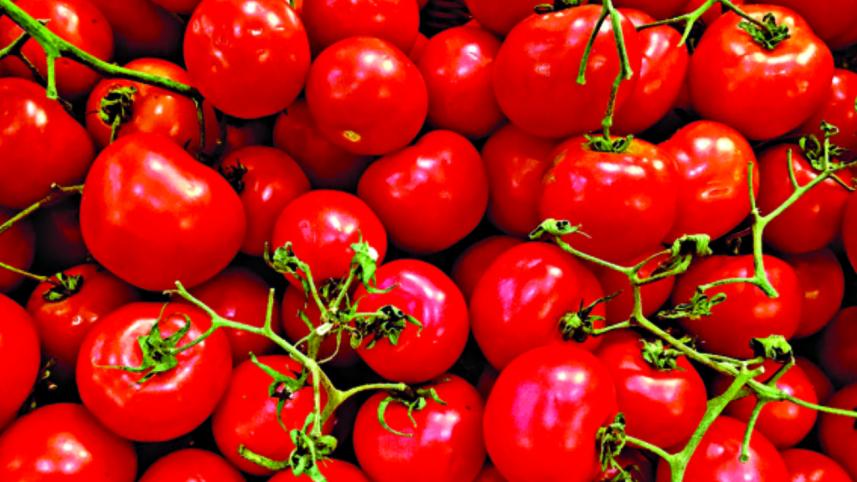 tomato.jpg