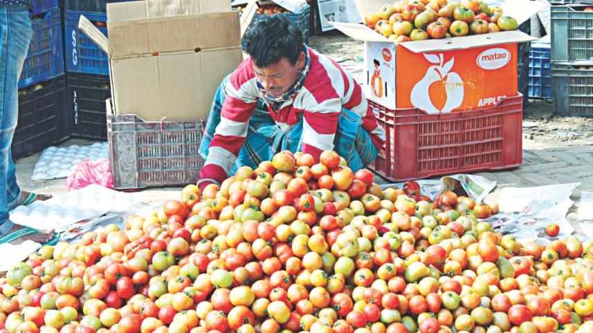 A bumper harvest of tomatoes