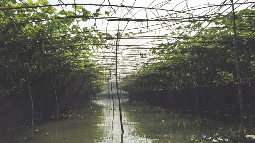 traditional agri tech.jpg