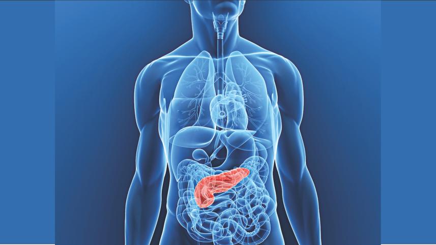treatment Pancreatic cancer.jpg