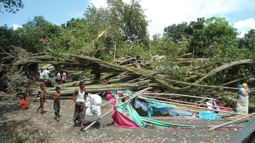 tree falls on temple.jpg