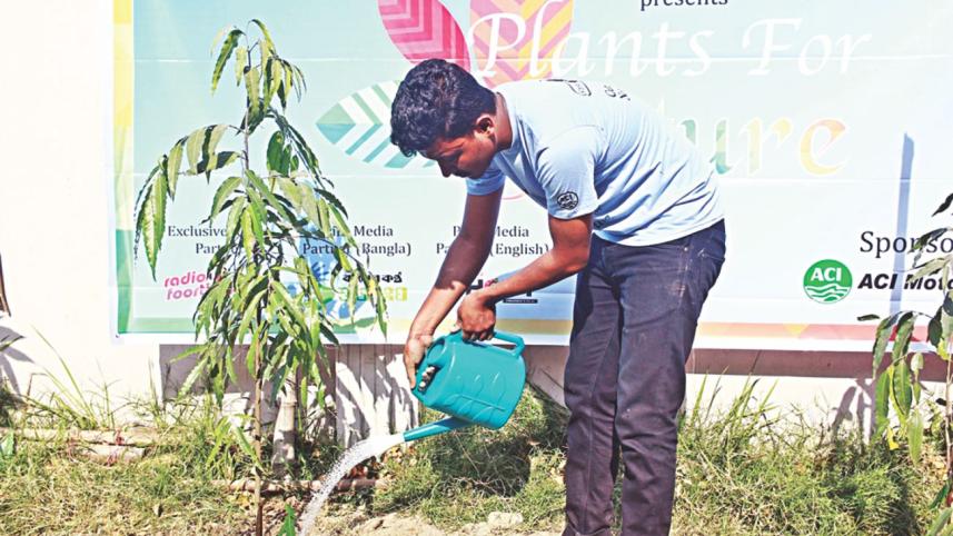 Tree plantation campaign by NSUEC