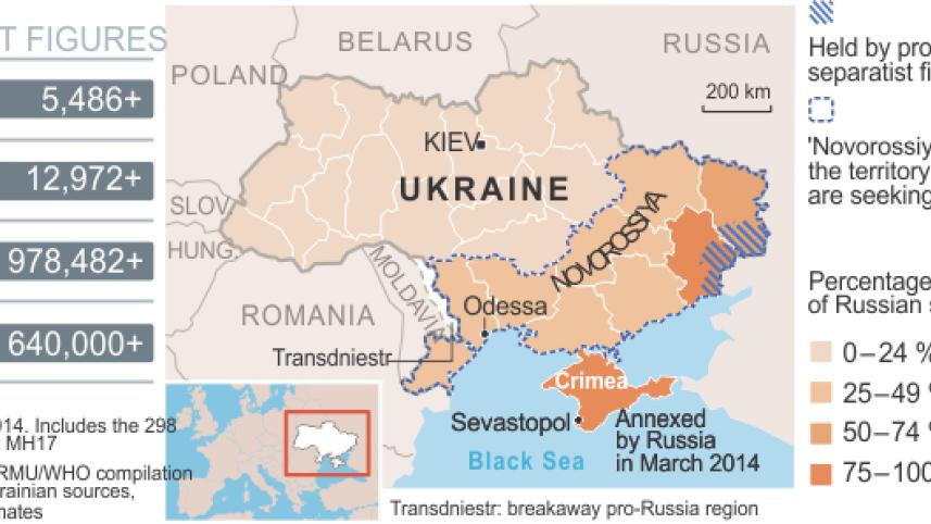 ukraine crisis infograph.jpg