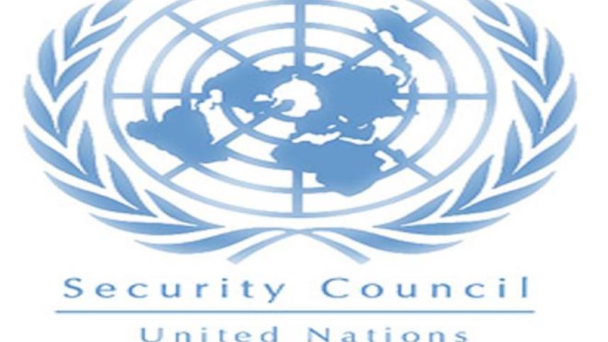 unsc logo.jpg
