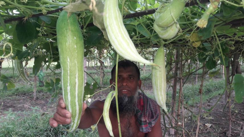 vegetable garden Fulgachh village.jpg