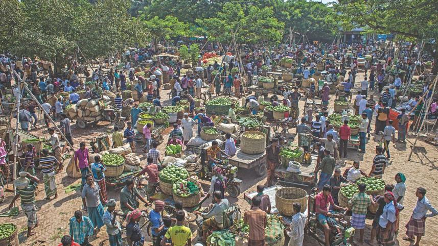 vegetable village 8.jpg